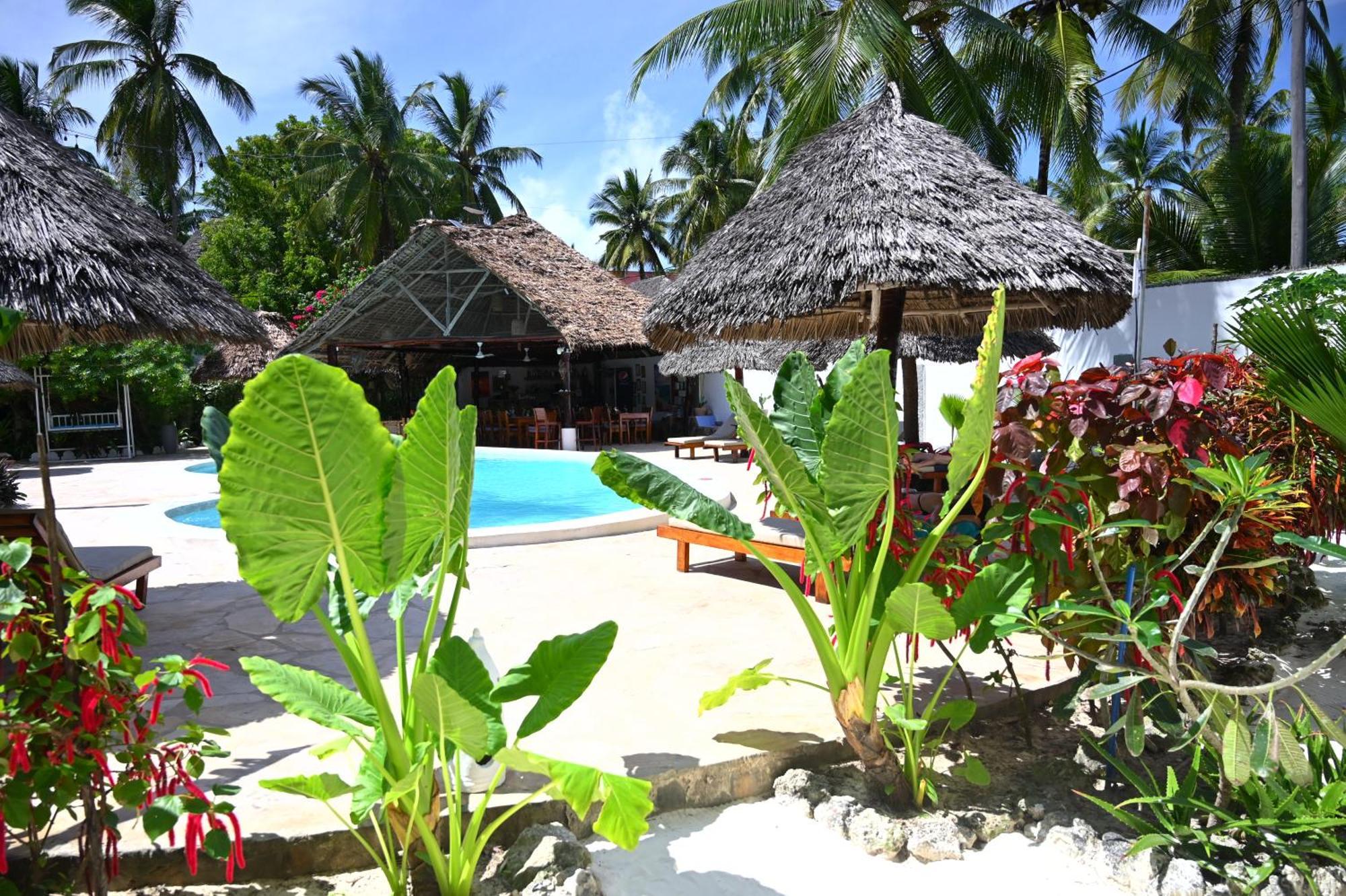 Ananda Villa Zanzibar Bwejuu Zewnętrze zdjęcie